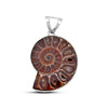 Beautiful Ammonite Fossil Gemstone Pendant 925 Sterling Silver Jewelry