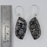 Black Coral Silver Plain Earrings