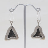 Fossilized Shark Tooth Silver Earrings