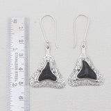 Fossilized Shark Tooth Silver Earrings