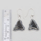 Fossilized Shark Tooth Silver Earrings