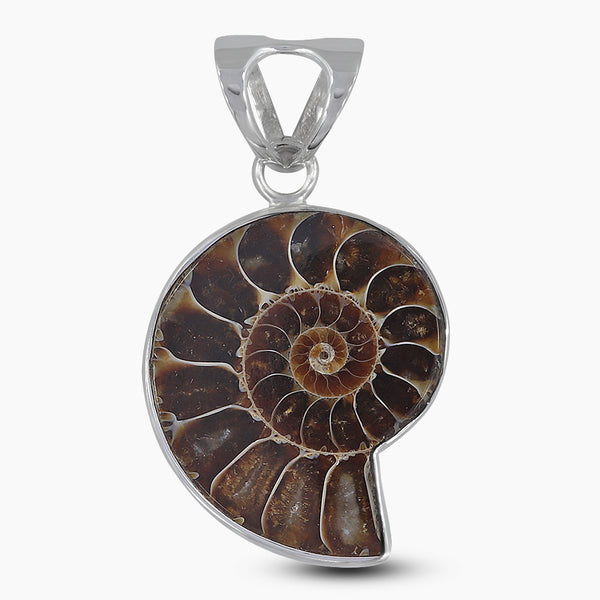 Ammonite Fossil Silver Pendants