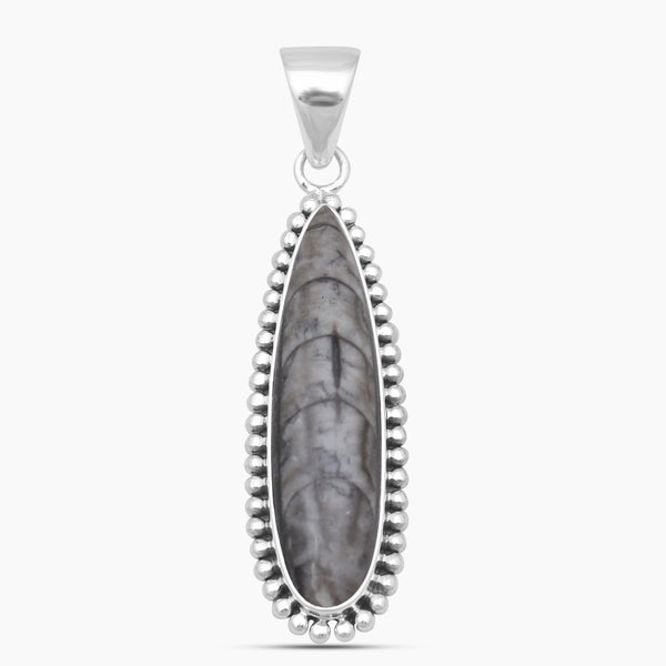 Orthoceras Fossil Silver Pendants