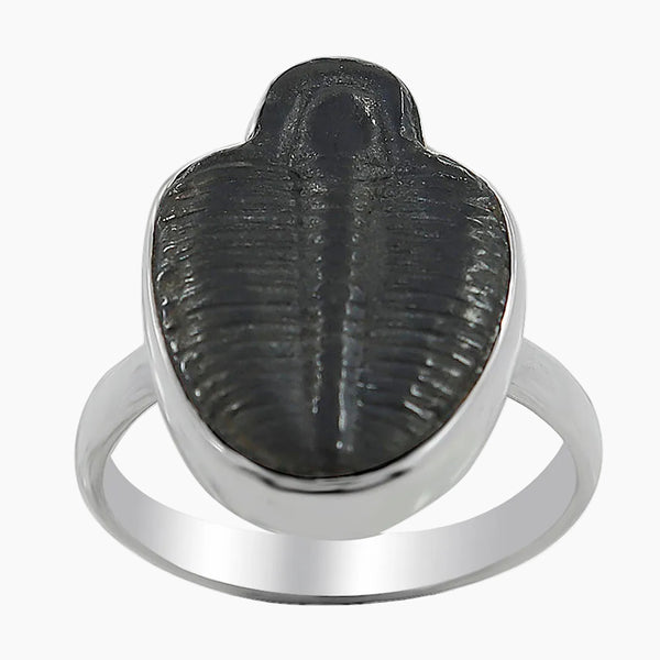 Trilobite Silver Rings
