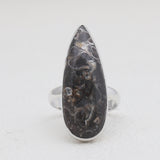 925 Silver Turritella Agate Rings