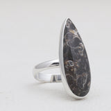 925 Silver Turritella Agate Rings