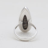 925 Silver Turritella Agate Rings