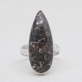 925 Silver Turritella Agate Rings
