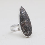 925 Silver Turritella Agate Rings