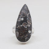 925 Silver Turritella Agate Rings