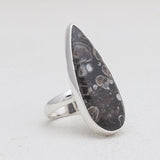925 Silver Turritella Agate Rings