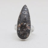 925 Silver Turritella Agate Rings