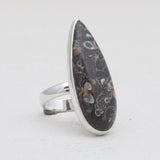 925 Silver Turritella Agate Rings
