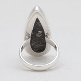 925 Silver Turritella Agate Rings