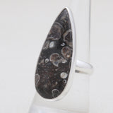 925 Silver Turritella Agate Rings