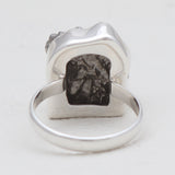 Meteorite Silver Rings