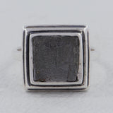 Muonionalusta Meteorite Silver Men's Ring