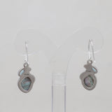 Abalone Shell Silver Earrings