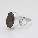 Shungite Silver Rings