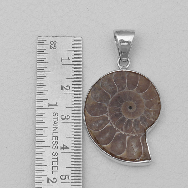 Ammonite Silver Pendants