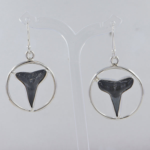Shark Tooth Silver Dangle Earrings