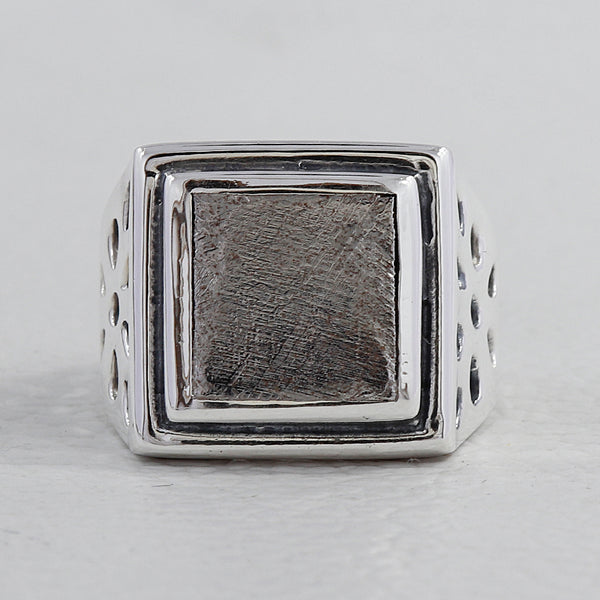 Muonionalusta Meteorite Silver Men's Rings
