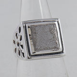 Muonionalusta Meteorite Silver Mens Ring