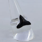 Fossilized Shark Tooth Sterling Silver Rings