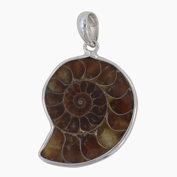 925 Sterling Silver Ammonite Pendants