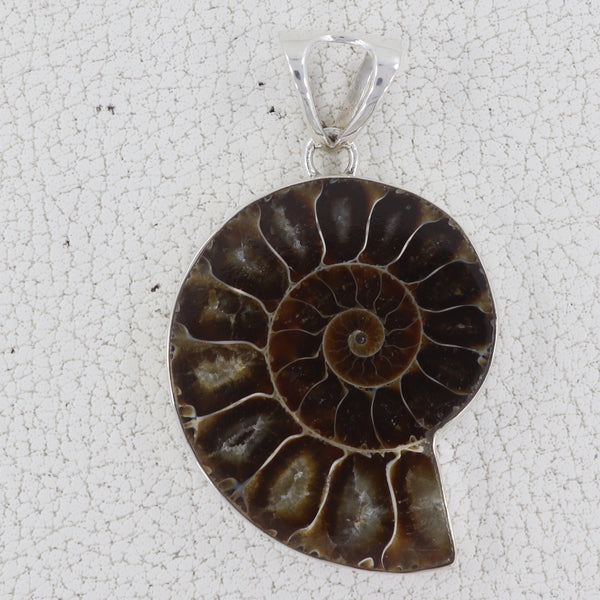 925 Sterling Silver Ammonite Pendant