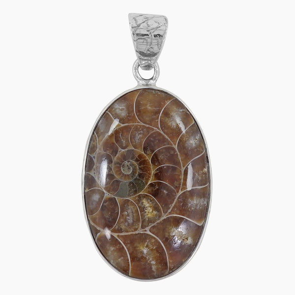 925 Sterling Silver Ammonite Pendants
