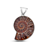 Natural Ammonite Fossil Gemstone Silver Pendant