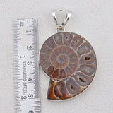 Ammonite Fossil Silver Pendant