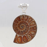 Natural Ammonite Fossil Gemstone Silver Pendant