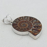 Ammonite Fossil Silver Pendant