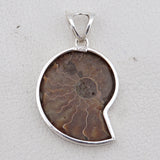 Ammonite Fossil Silver Pendant