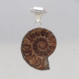 925 Sterling Silver Ammonite Fossil Pendant