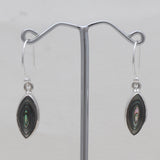 Abalone Shell Silver Earrings