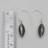Abalone Shell Silver Earrings