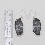 Black Coral Silver Plain Earrings