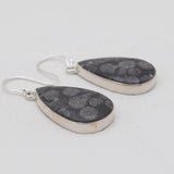 Black Coral Silver Plain Earrings