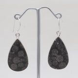 Black Coral Silver Plain Earrings