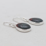 Sonora Sunset Jasper Silver Earrings