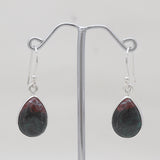 Sonora Sunset Jasper Silver Earrings