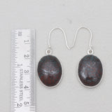 Sonora Sunset Jasper Silver Earrings