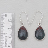 Sonora Sunset Jasper Silver Earrings