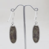 Spider Web Jasper Silver Earrings