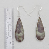Spider Web Jasper Silver Earrings