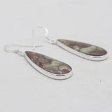 Spider Web Jasper Silver Earrings