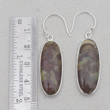 Spider Web Jasper Silver Earrings